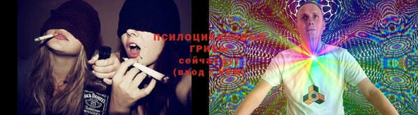 кокаин колумбия Гусев