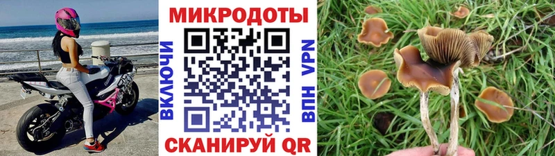 Псилоцибиновые грибы MAGIC MUSHROOMS  Купить  Ханты-Мансийск 